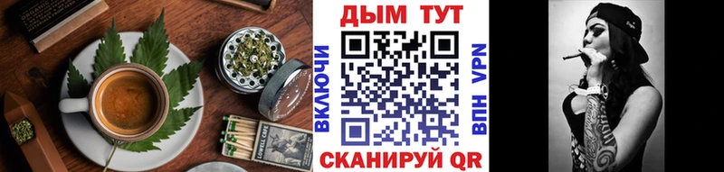 Canna-Cookies конопля  купить наркотики сайты  KRAKEN ONION  Красный Холм 