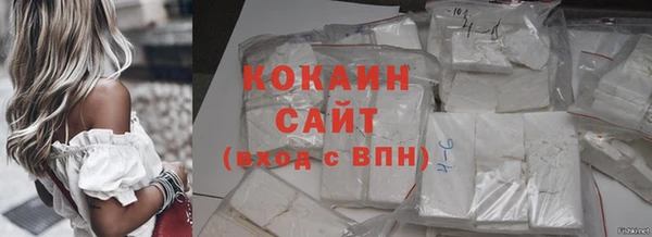 крисы Ростов