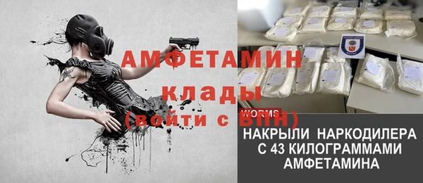 ГАЛЛЮЦИНОГЕННЫЕ ГРИБЫ Балабаново