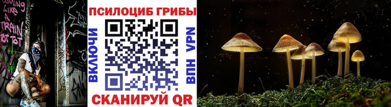 Псилоцибиновые грибы Psilocybine cubensis  продажа наркотиков  Красный Холм 
